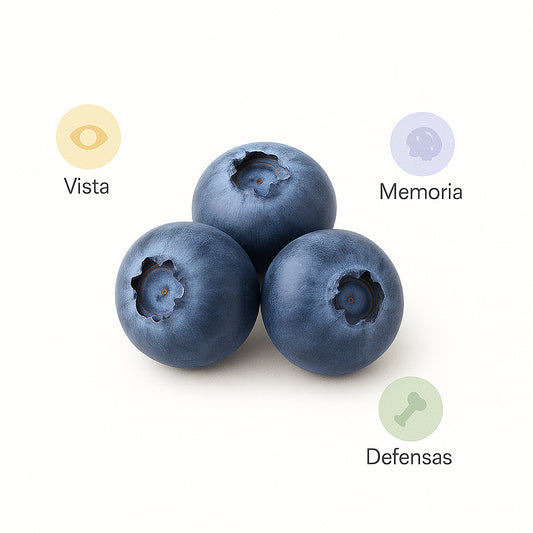 🫐 Arándanos Congelados – Bolsa 1kg ($120)