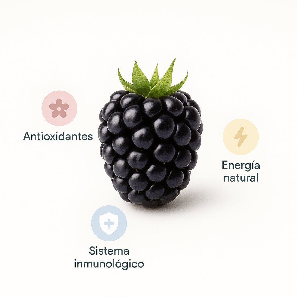 🍇 Zarzamora Congelada – Bolsa 1kg ($120)